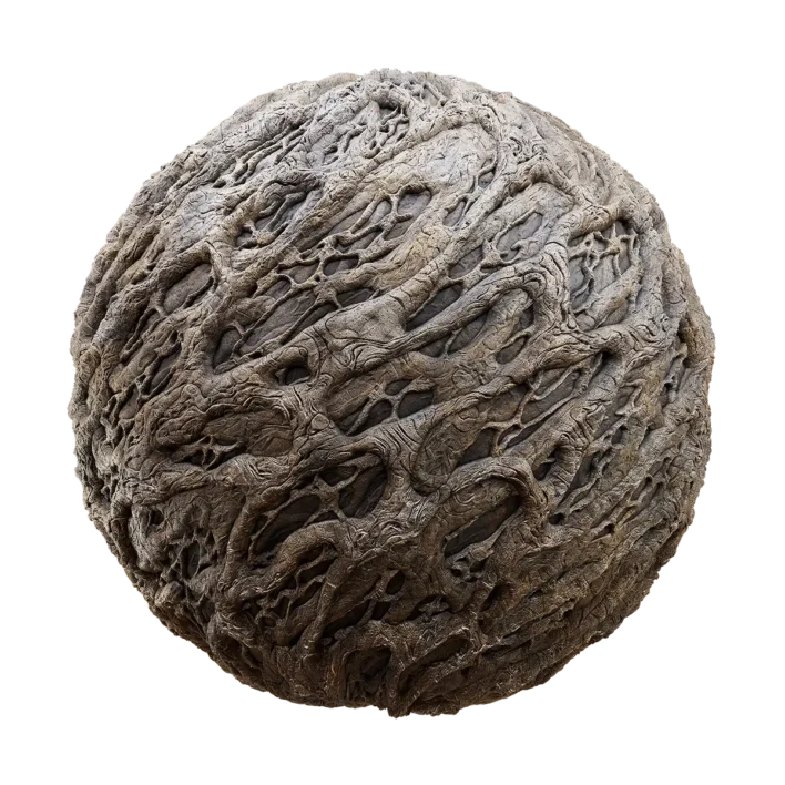 Fig Tree Bark (6242)