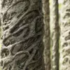 Fig Tree Bark (6242) - Image 2