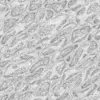 Fig Tree Bark (6242) - Image 3