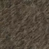 Fig Tree Bark (6242) - Image 4
