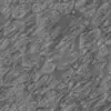 Fig Tree Bark (6242) - Image 12