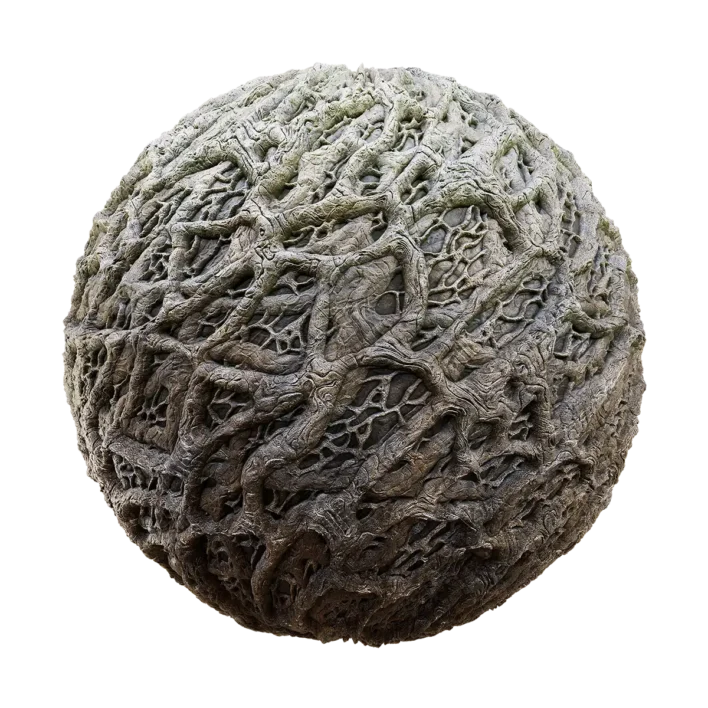 Fig Tree Bark (6243)