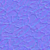 Fig Tree Bark (6243) - Image 10
