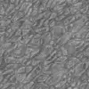 Fig Tree Bark (6243) - Image 12