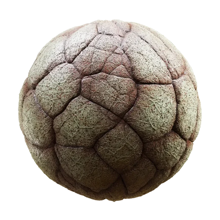 Infected Skin (6248)