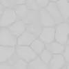 Infected Skin (6248) - Image 5