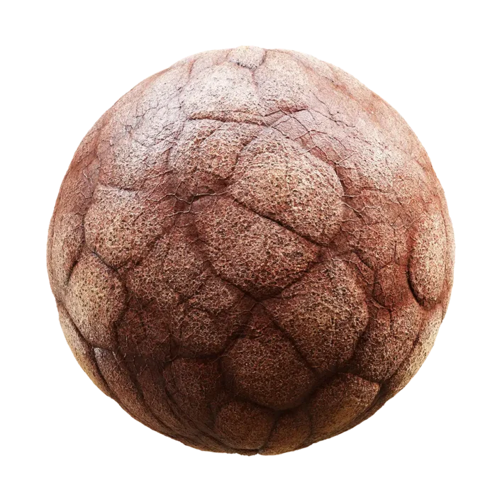 Infected Skin (6249)
