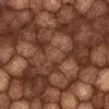 Infected Skin (6249) - Image 4