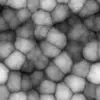 Infected Skin (6249) - Image 6
