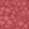 Infected Skin (6250) - Image 4