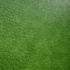 Leaf Cells (6234) - Image 2