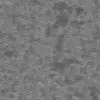 Palm Tree Bark (6214) - Image 12