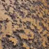Yellow Painted Worn Plaster Wall (6267) - Image 2