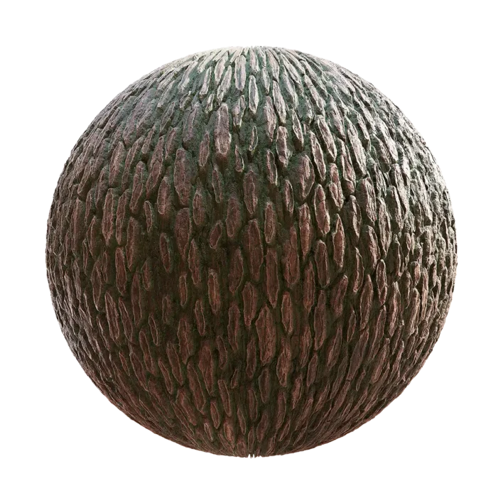 Mossy Pine Tree Bark (6397)