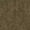 Mossy Pine Tree Bark (6397) - Image 6