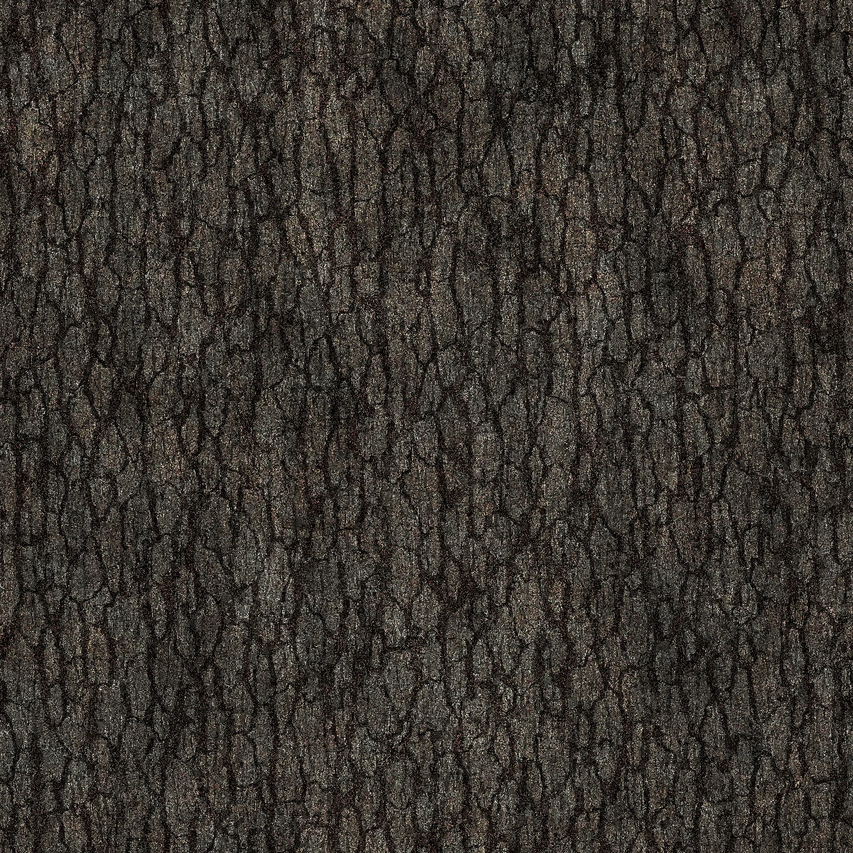 Seamless Texture of Tree Bark Cool Graphic by shahsoft · Creative Fabrica