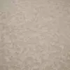 Lace Trowel Stucco Wall (6429) - Image 2