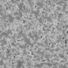 Orange Painted Plaster Wall (6424) - Image 6