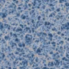 Blue Gold Marble 6504 - Image 4