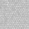 Hexagonal Pavement 6495 - Image 6