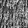 Rough Black Rock 6491 - Image 6