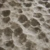 Rough Grey Sandstone 6519 - Image 2