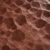 Rough Red Sandstone 6517 - Image 2