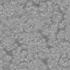 Brown Dusty Rock 6571 - Image 12