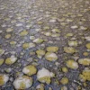 Lake Pebbles With Water 6602 - Image 2