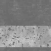 Old Plaster Painted Wall 6596 - Image 5
