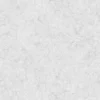 Snow 6631 - Image 3