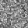 Snow 6631 - Image 6