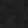 Black Obsidian 6727 - Image 12