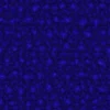 Blue Crystals 6663 - Image 4