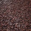 Brick Rubble 6672 - Image 2