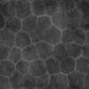 Brown Obsidian 6726 - Image 12