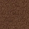 Brown Rock 6670 - Image 4