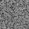 Mud Footprints 6668 - Image 6