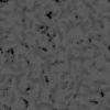 Mud Footprints 6668 - Image 12