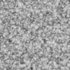 Snow 6664 - Image 6