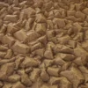 Yellow Rock 6671 - Image 2