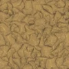 Yellow Rock 6671 - Image 4