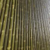 Bamboo Wall 6834 - Image 2