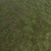 Grass Ground 6820 - Image 2
