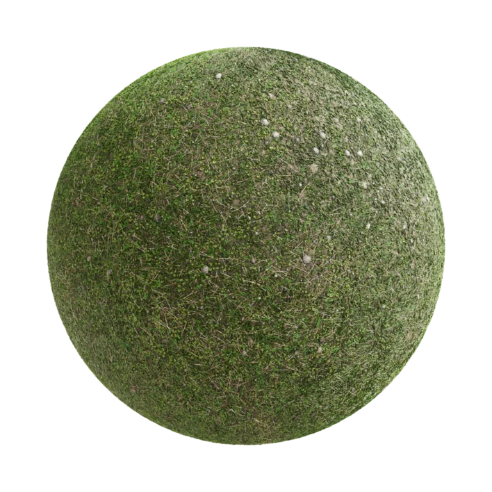 Grass Ground 6825