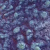 Blue Alien Skin 6901 - Image 2