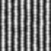 Cactus 6851 - Image 6