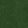 Cactus 6853 - Image 4