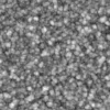 Fatty Guts 6951 - Image 6