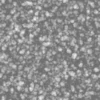 Fatty Guts 6953 - Image 6